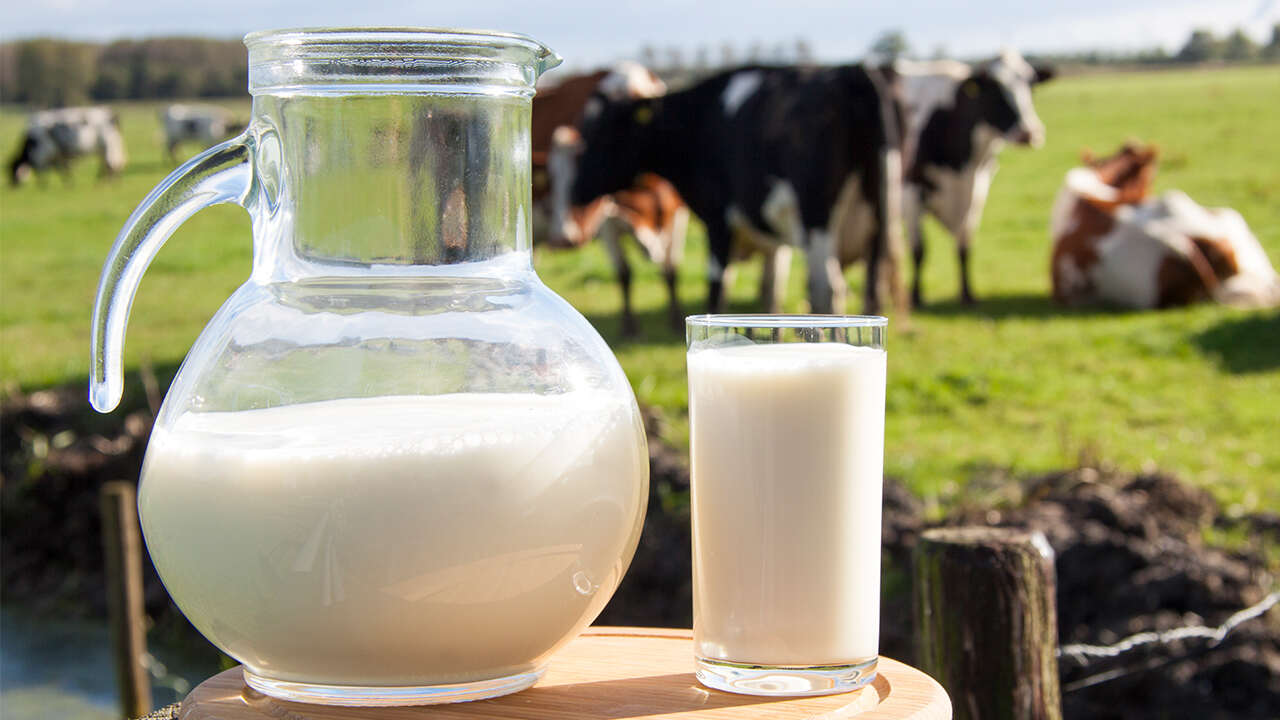 牛奶和酸奶哪个更好？喝酸奶有哪些注意事项？